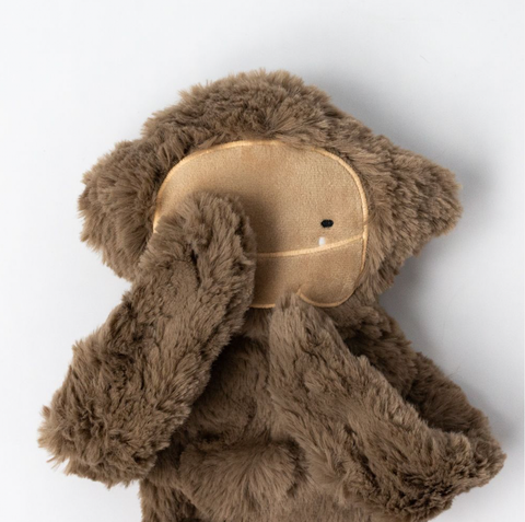 Bigfoot Snuggler + Intro Book - Self Esteem