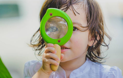 Leaf Magnifier