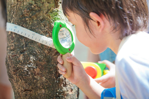 Leaf Magnifier