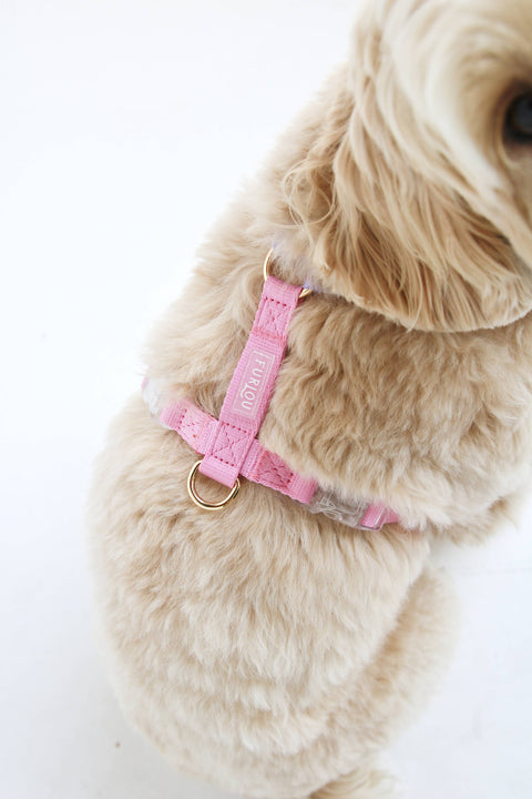 Unicorn - Dog Harness