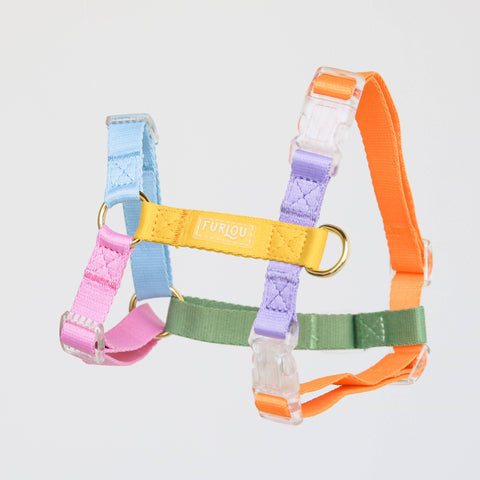 Rainbow - Dog Harness