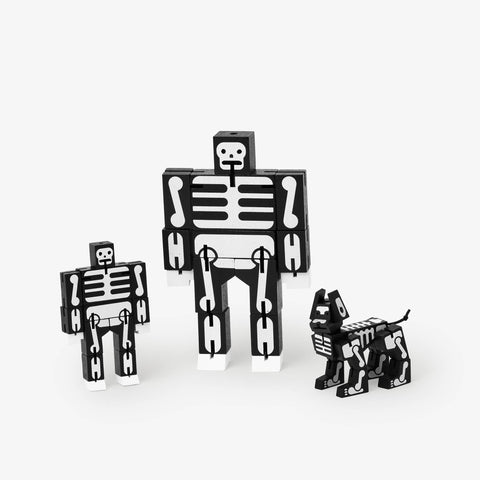 Cubebot Micro Skeleton