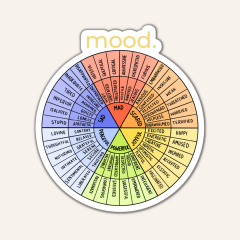 MOOD. You feelings are VALID.

This small but mighty sticker will help you to identify your feelings and emotions. The feelings wheel can help to increase your emotional IQ and emotional regulation skills.