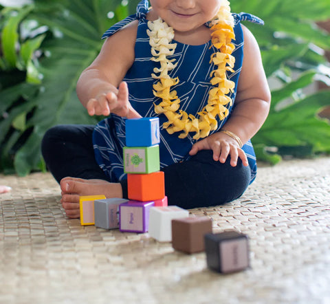 Waiho'olu'u Blocks