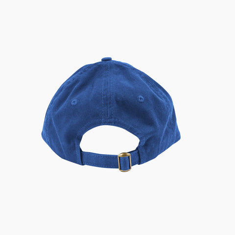 Thinking Cap in Blue