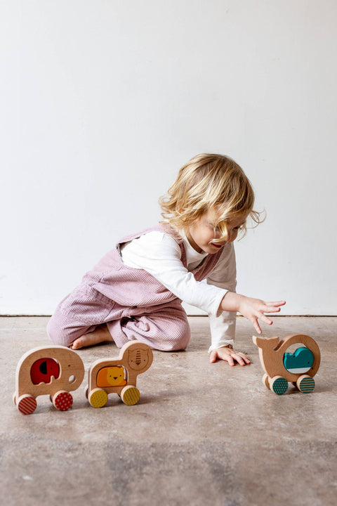 Wooden Push Along Whale Toy