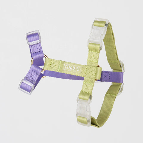 Lavender + Lime - Dog Harness