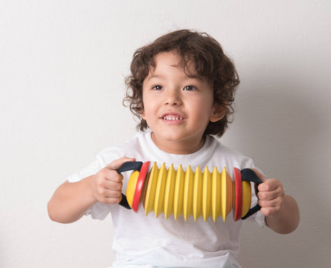 Concertina Musical Toy for Kids & Baby